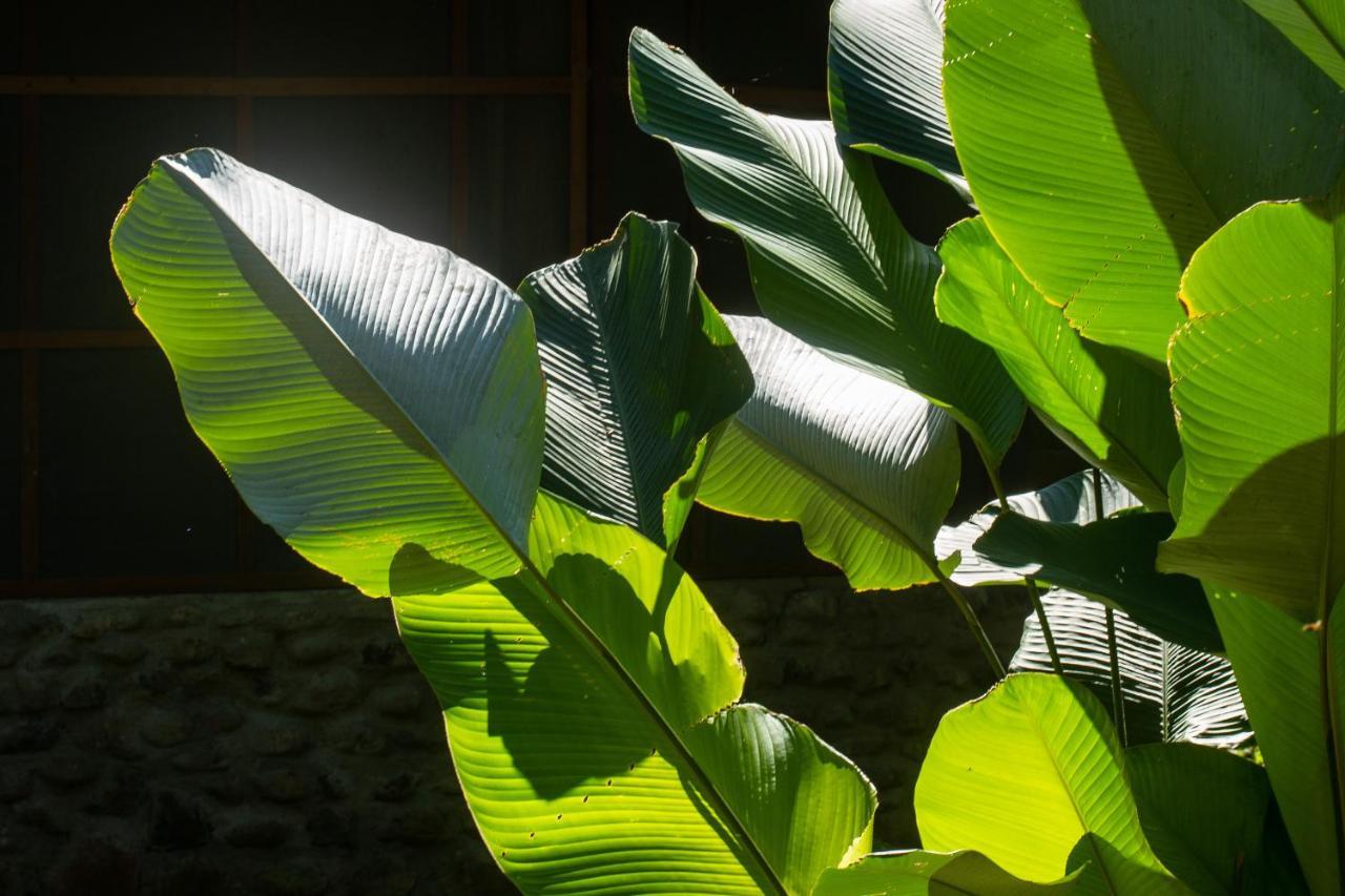 Shimiyacu Amazon Lodge Tarapoto Kültér fotó