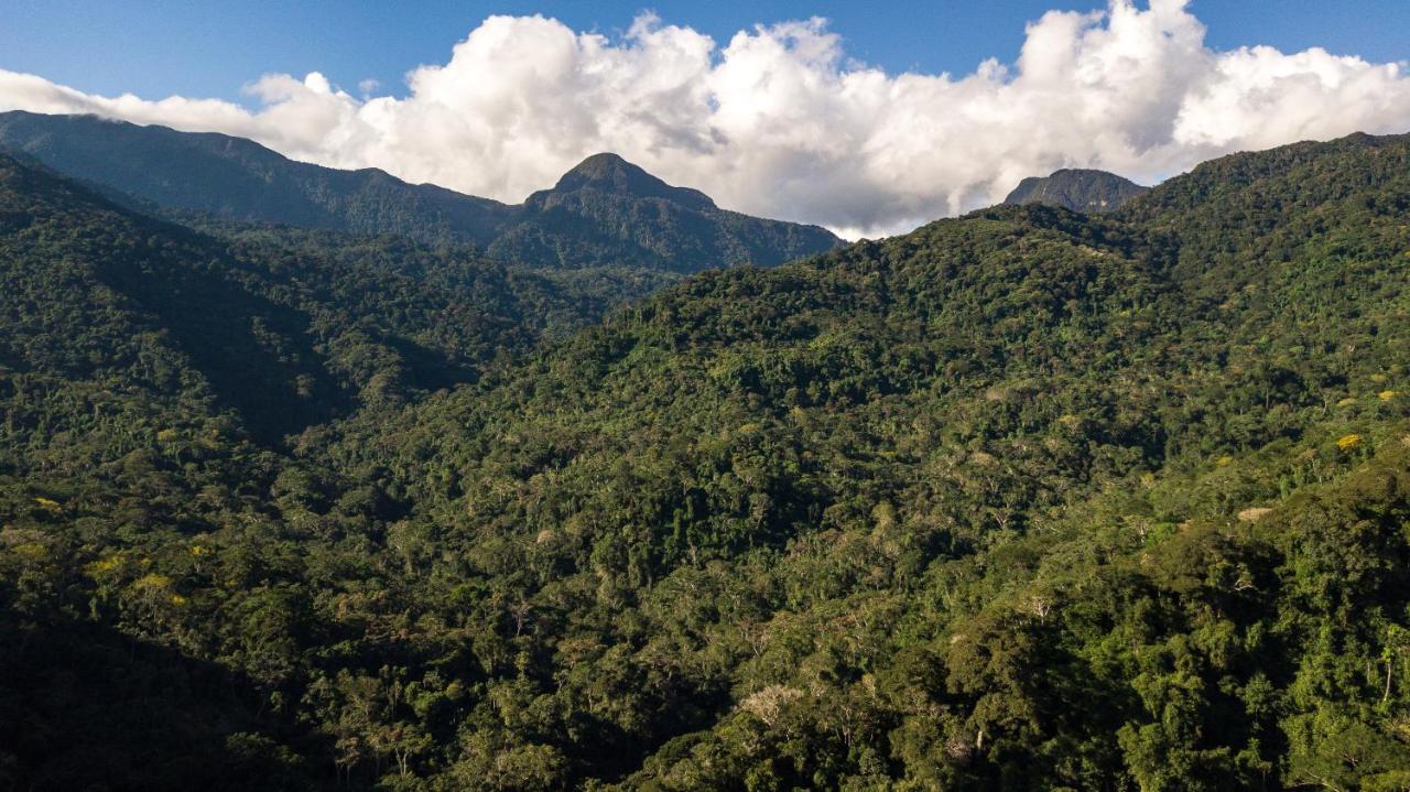 Shimiyacu Amazon Lodge Tarapoto Kültér fotó