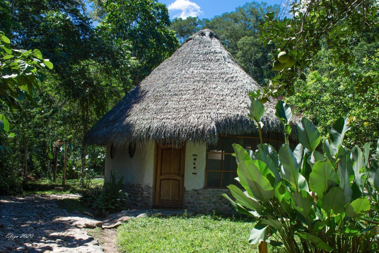 Shimiyacu Amazon Lodge Tarapoto Kültér fotó