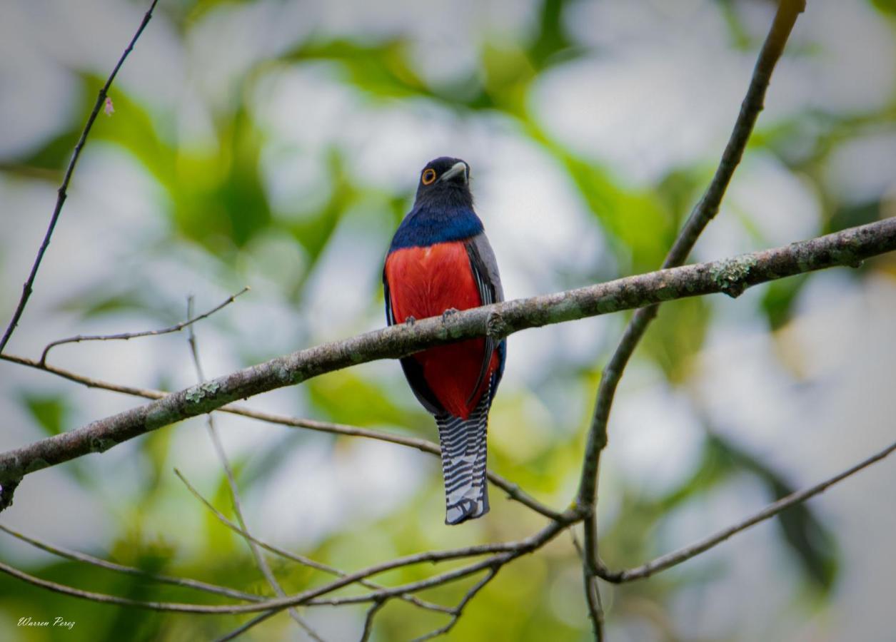 Shimiyacu Amazon Lodge Tarapoto Kültér fotó